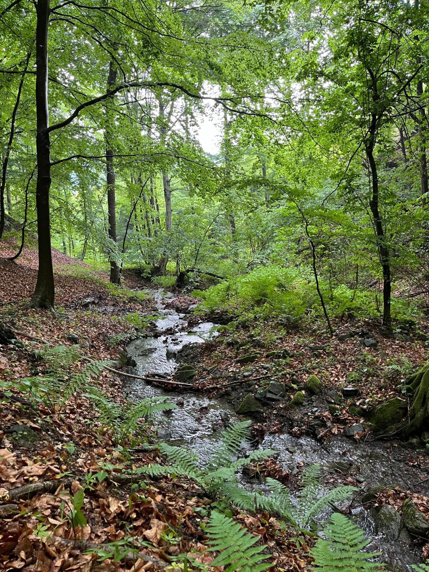 Ca Di Voi Villa Calizzano Kültér fotó